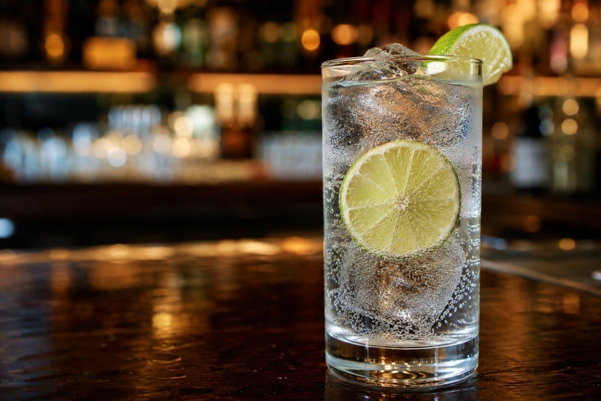 Gin and Tonic cocktail - gin-based served in a glass with garnish