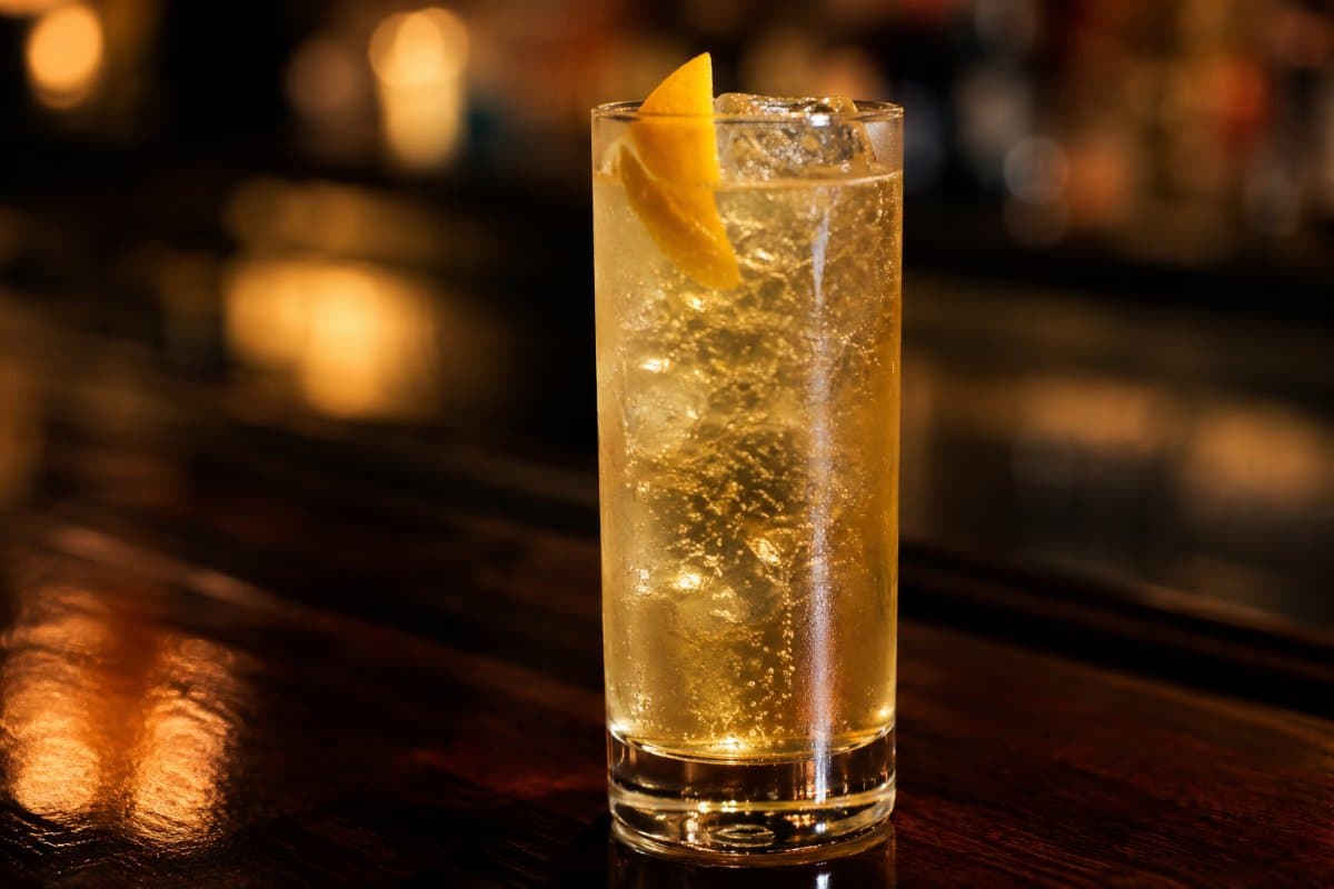 John Collins cocktail - bourbon-based served in a glass with garnish