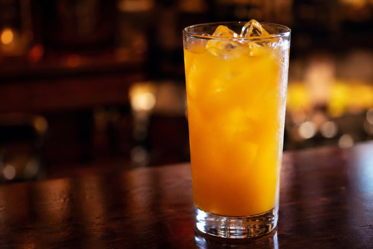 Screwdriver cocktail - vodka-based served in a glass with garnish