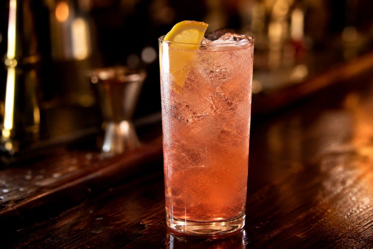 Sloe Gin Fizz cocktail - liqueur-based served in a glass with garnish