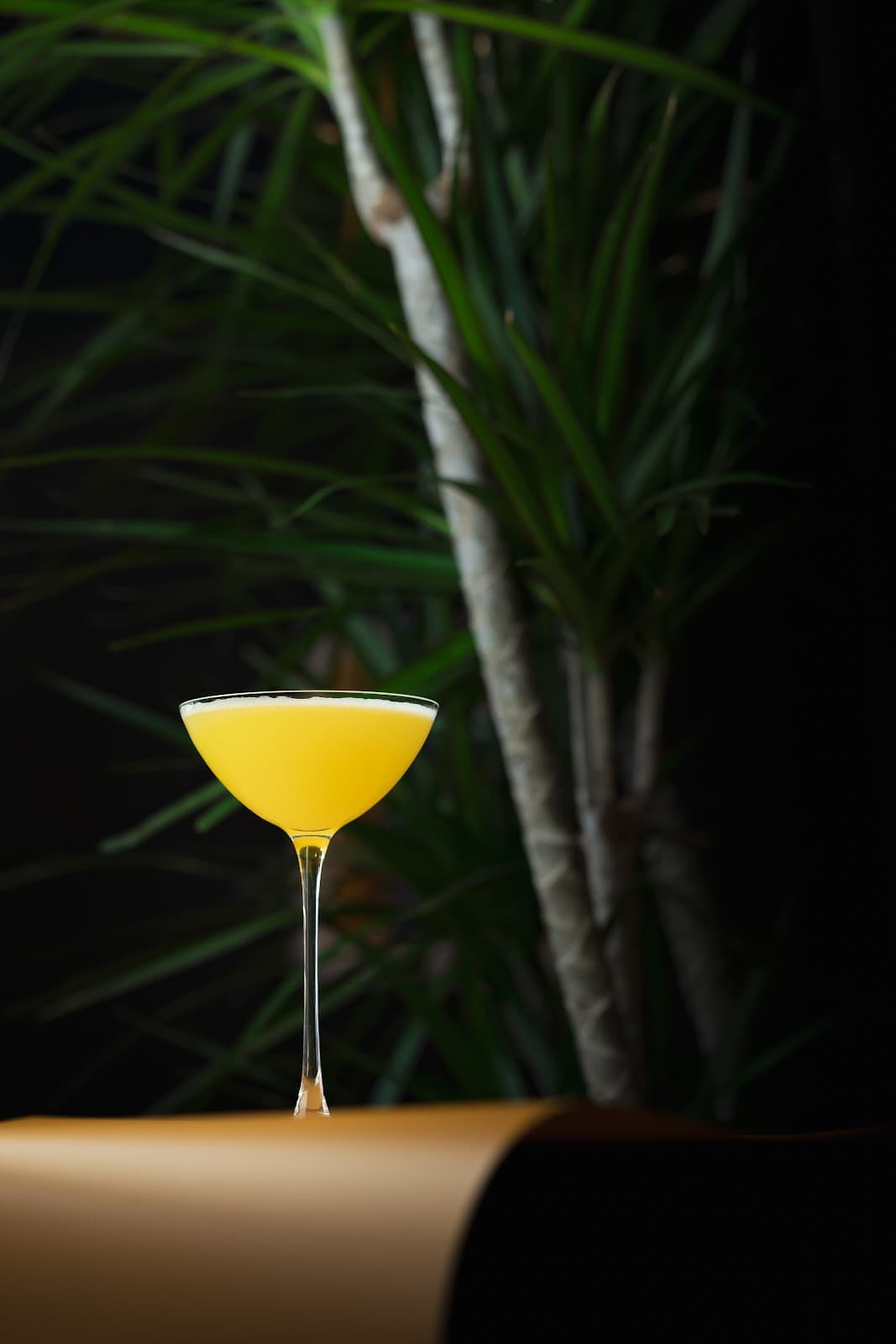 Elegant yellow cocktail in a glass with a plant background in San Francisco