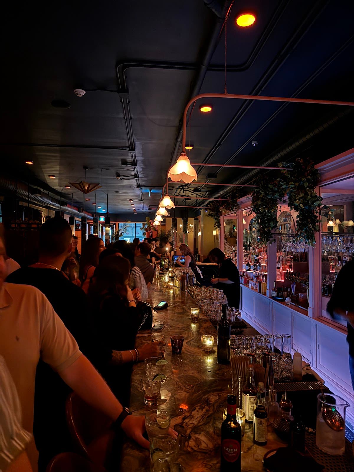 Crowded bar with ambient lighting and drinks on the counter in Toronto