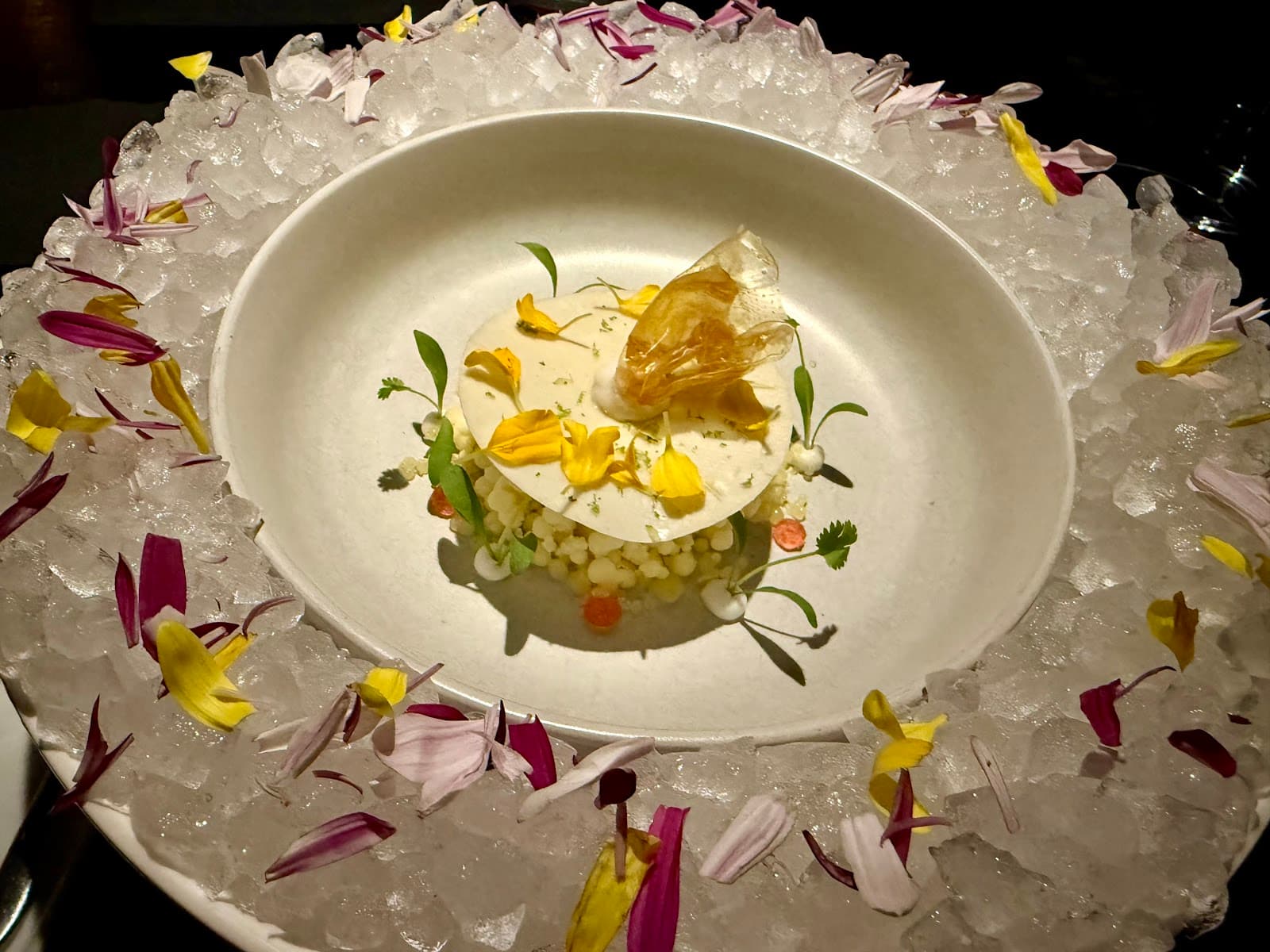 Gourmet cocktail presentation with ice and edible flowers in Toronto