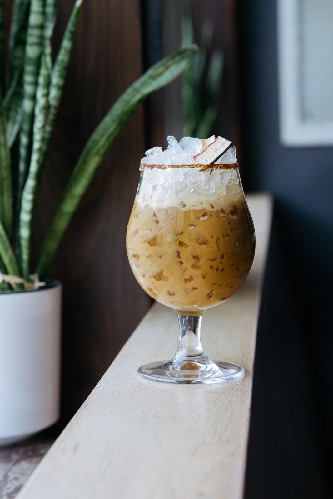Iced cocktail in a goblet with a plant in the background in Toronto