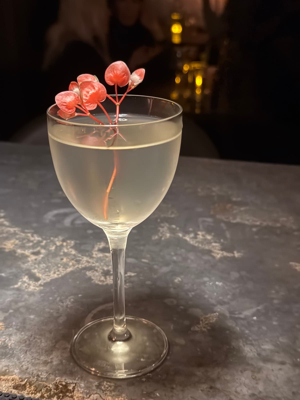 Elegant cocktail with red garnish on a marble counter in New York