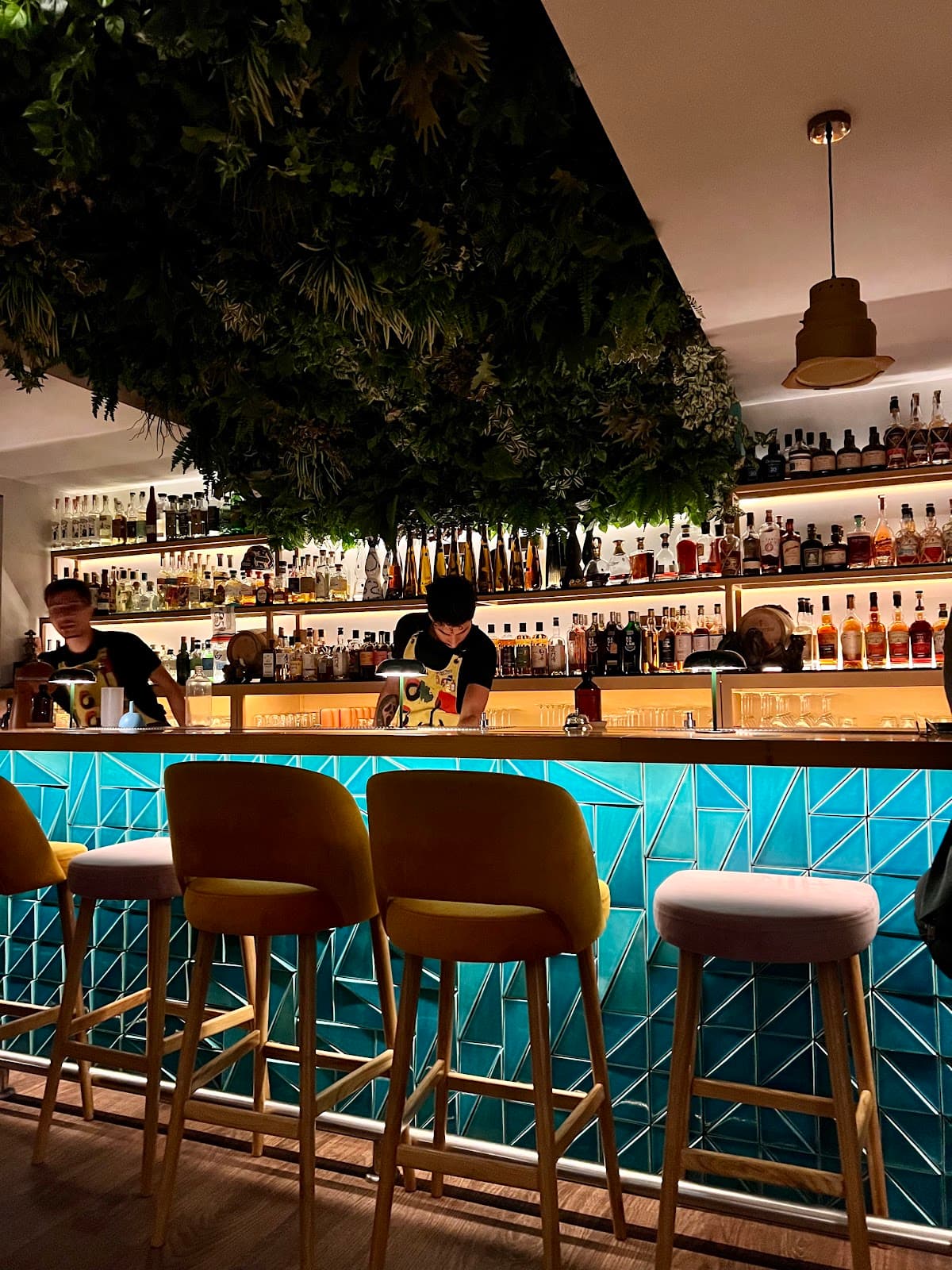 Stylish bar with vibrant blue tiles and hanging greenery