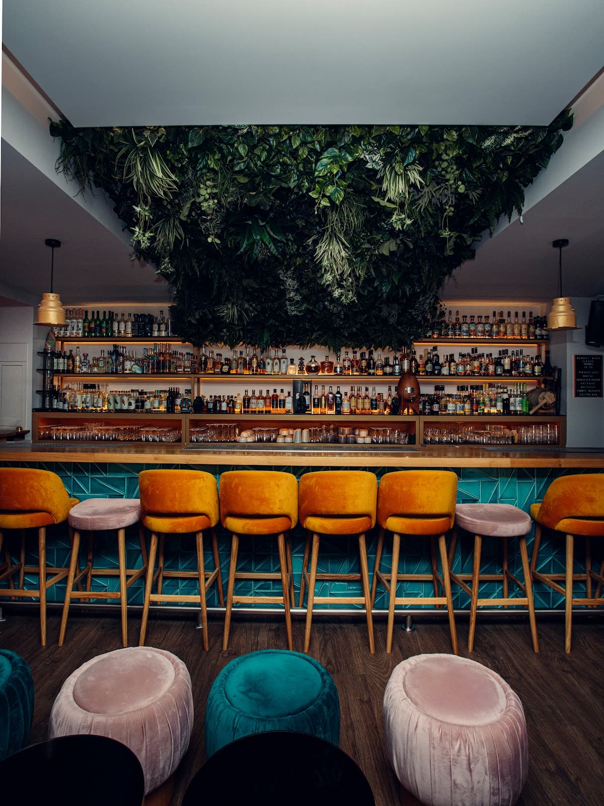 Stylish bar with hanging greenery and colorful stools in Lisboa