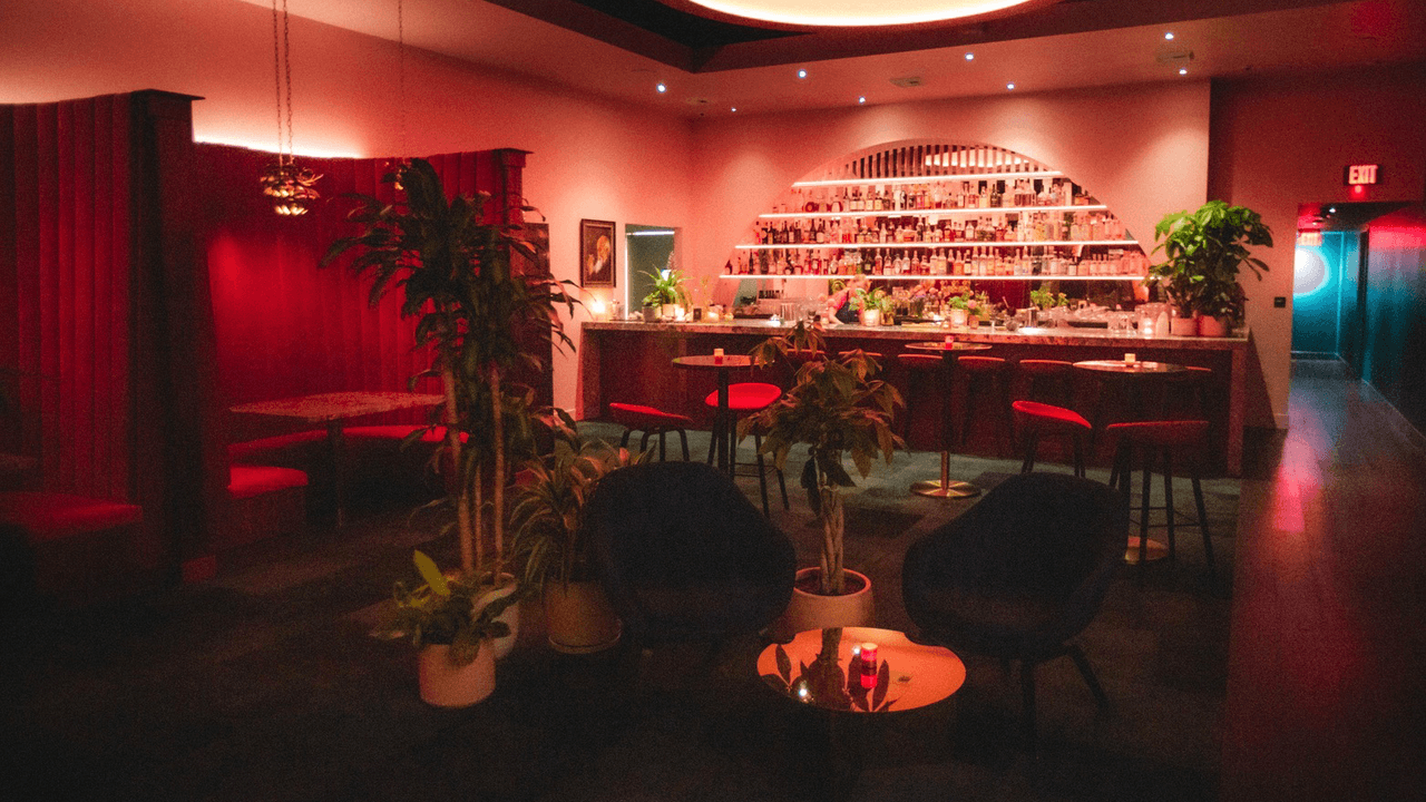 Stylish bar interior with plants and modern seating