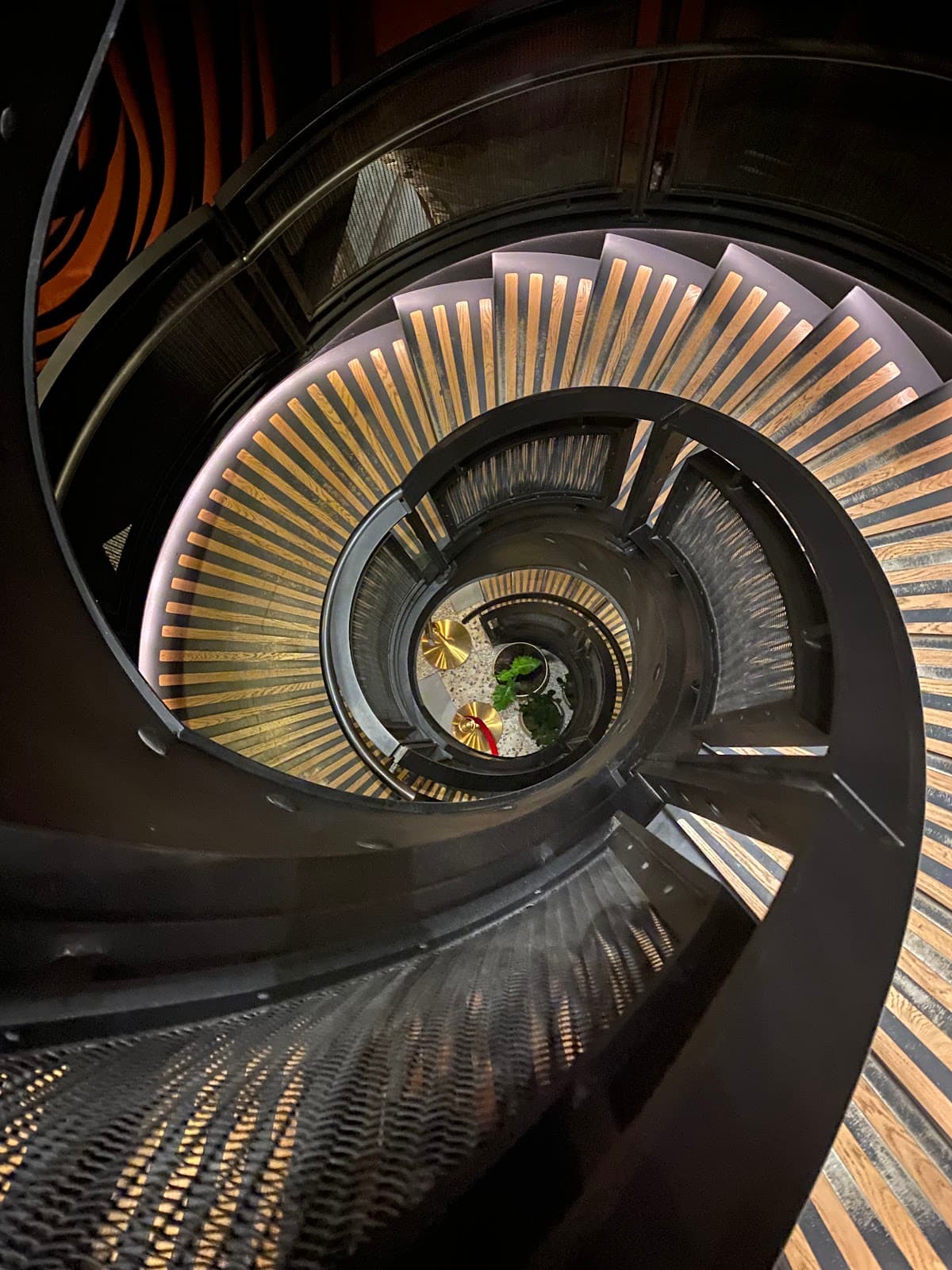 Spiral staircase with intricate design and ambient lighting in New York