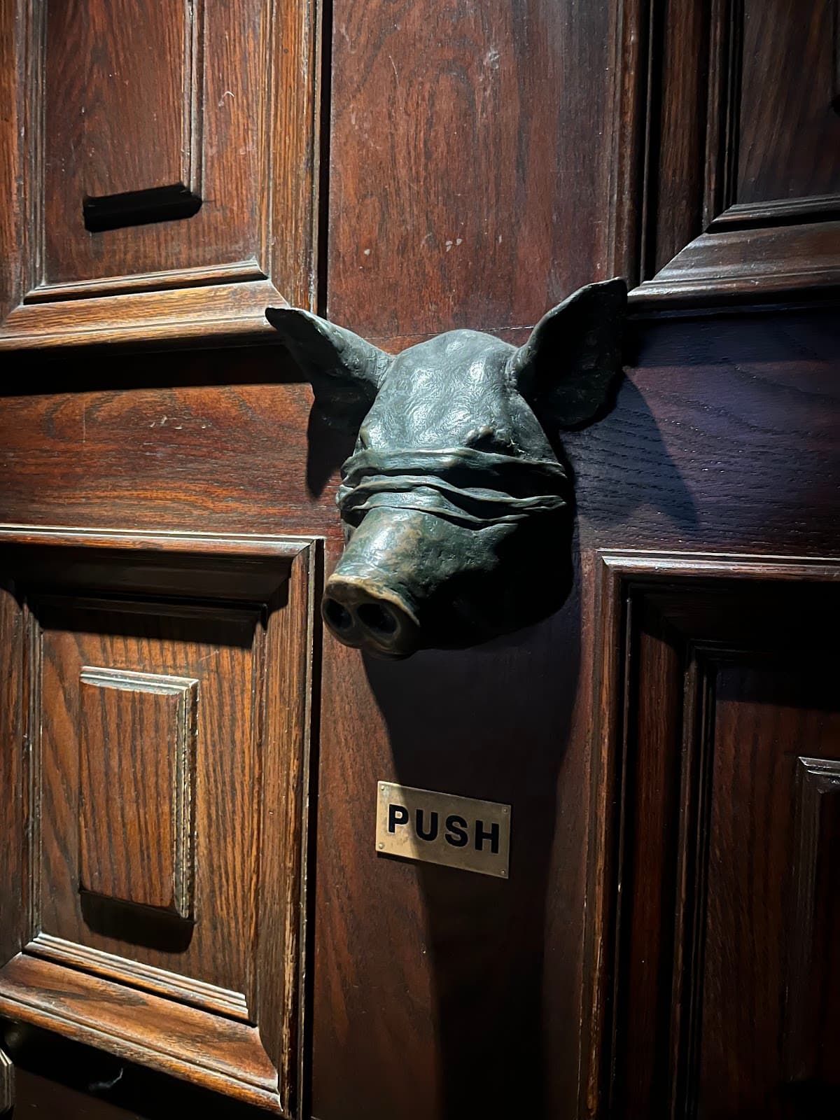 Door with pig head knocker and push sign in dim lighting in London