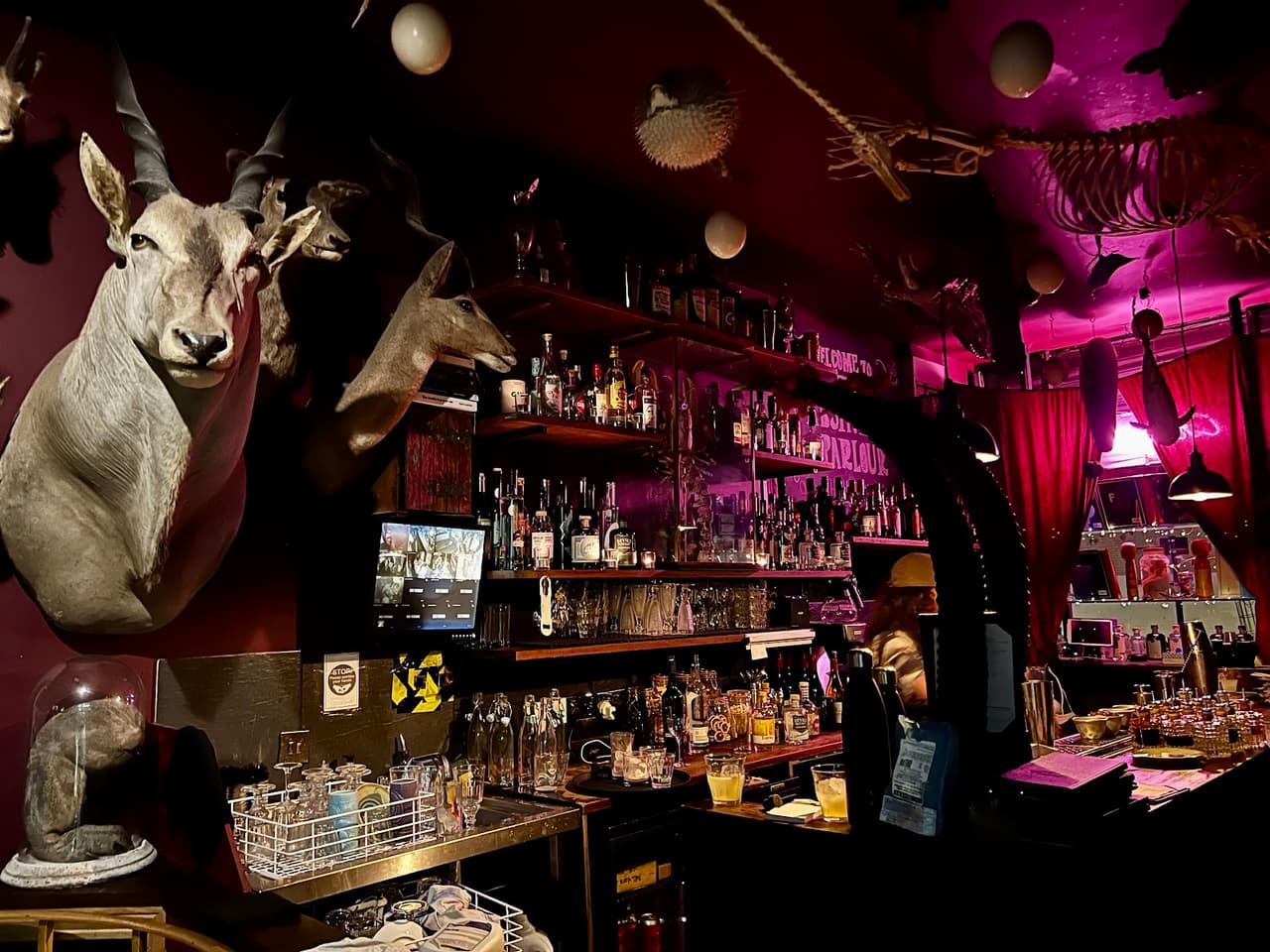Atmospheric bar with taxidermy and dim purple lighting in London