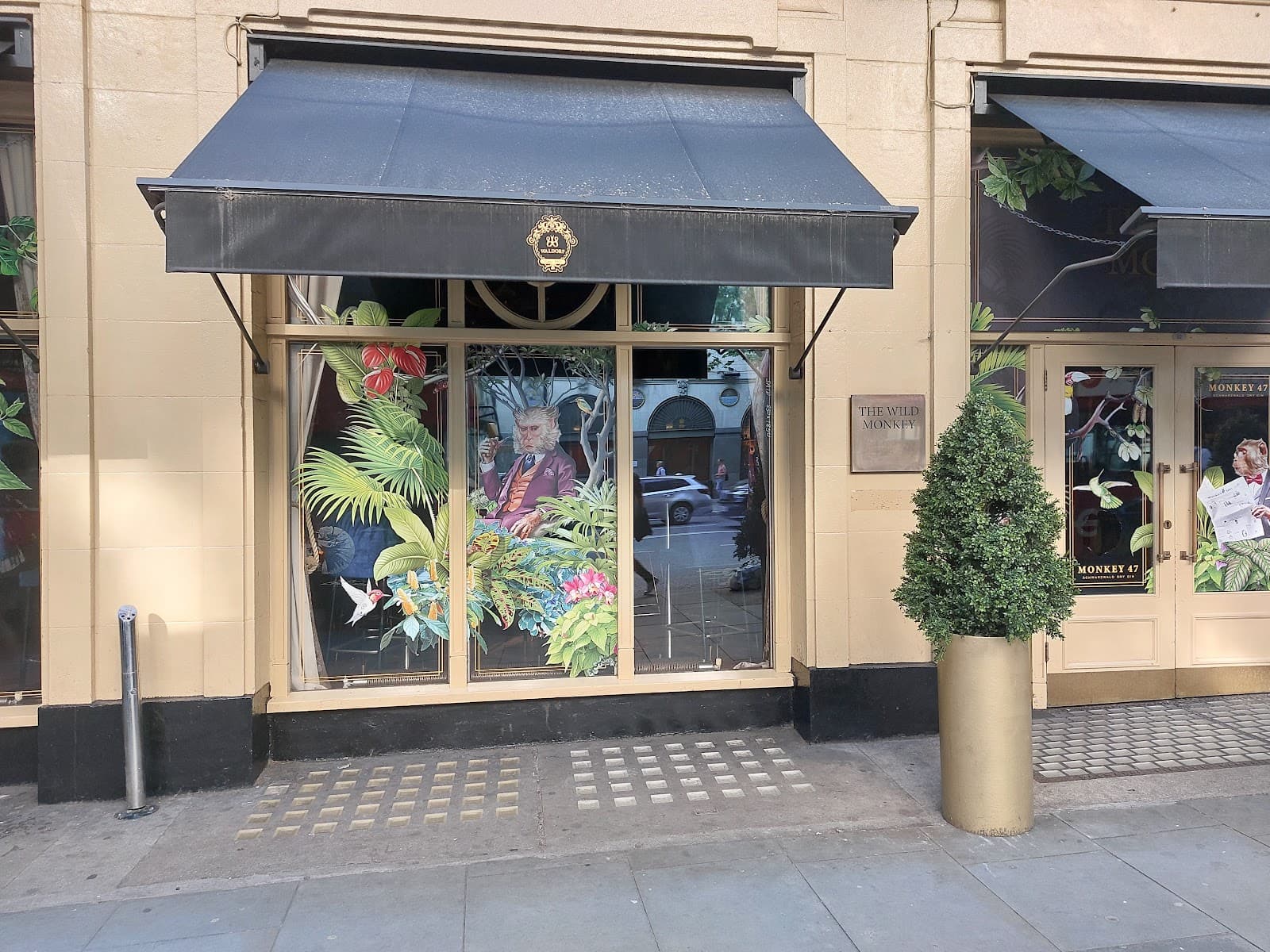 Exterior of The Wild Monkey with decorative window art and awning in London