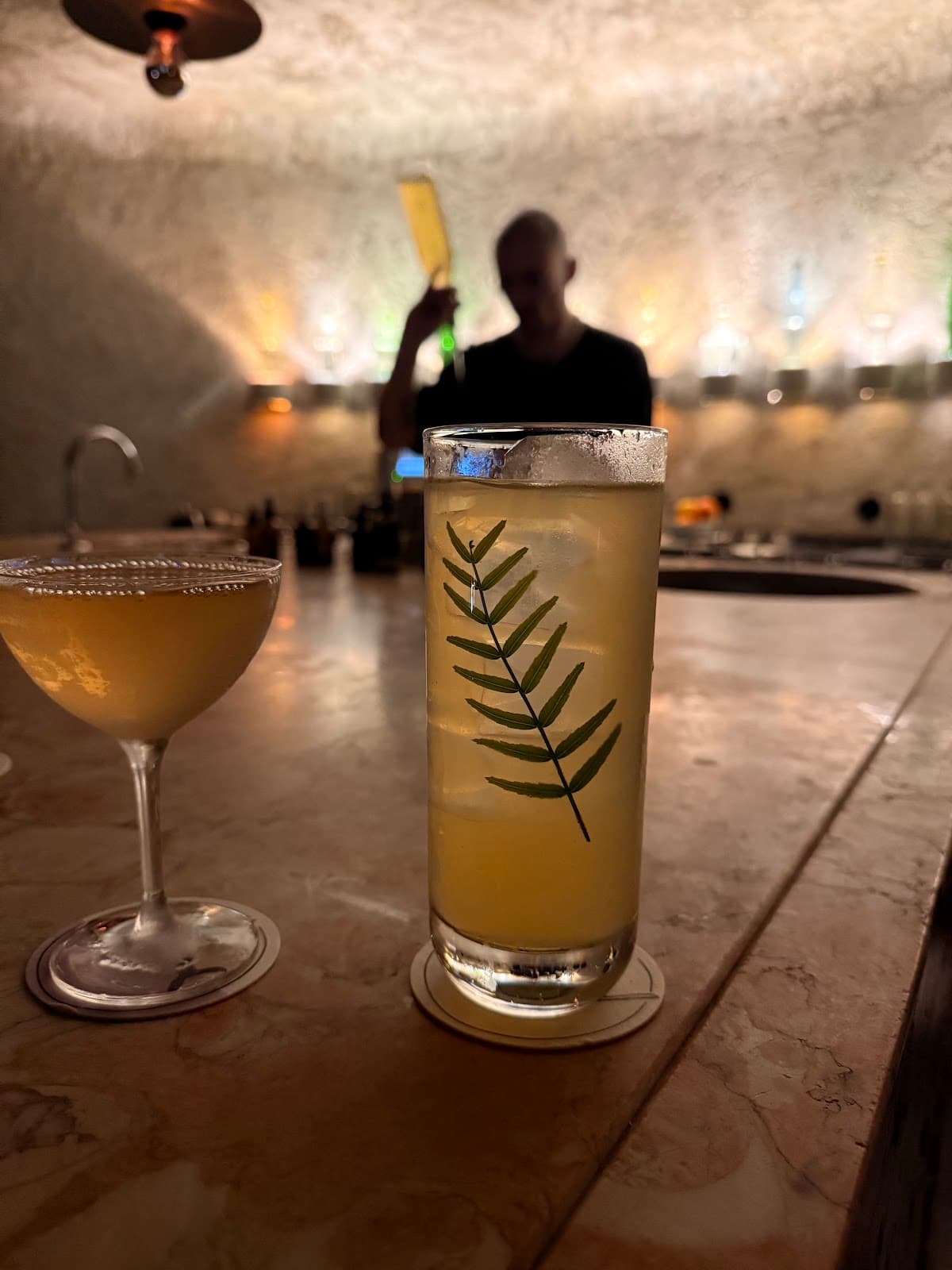 Stylish cocktail with a leaf garnish on a dimly lit bar counter in Lisboa