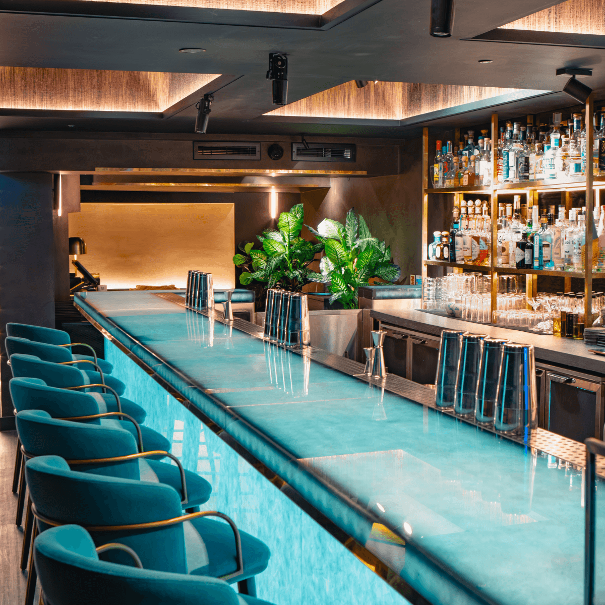 Modern bar with teal counter and lined-up bottles in London